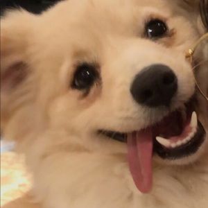 Meet your Posher, Marianne